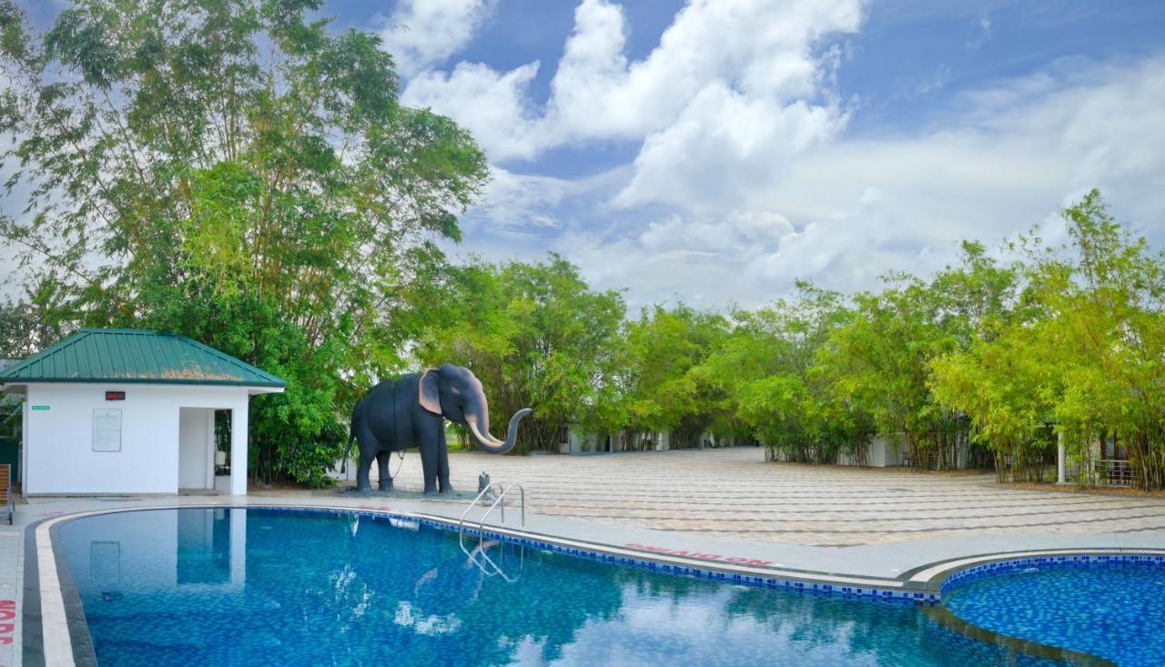 คอนทัวร์ แบ็กวอเตอร์ Hotel Ramankari ภายนอก รูปภาพ