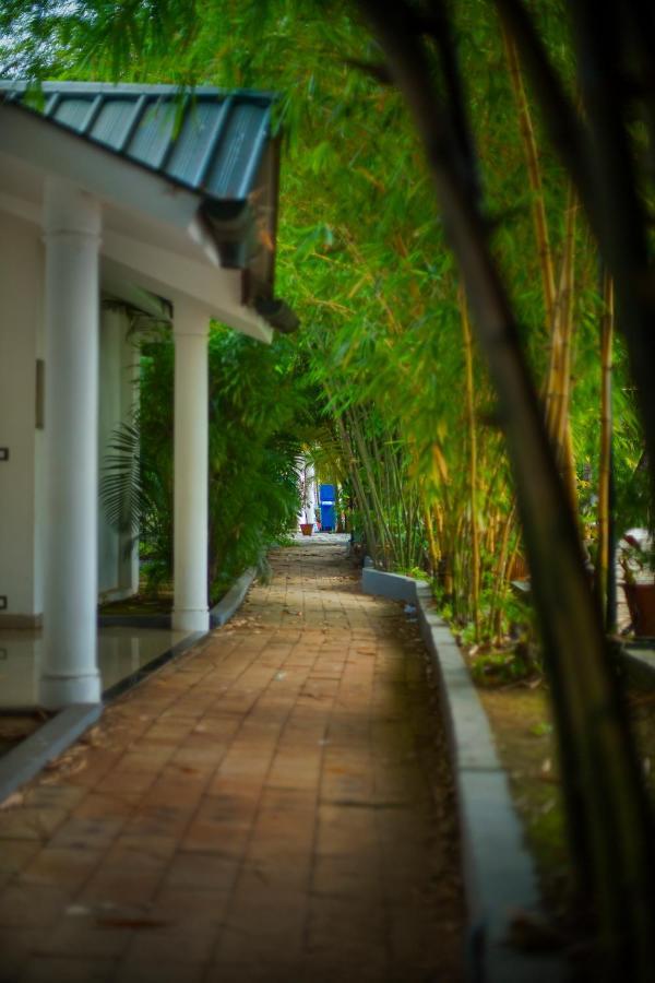 คอนทัวร์ แบ็กวอเตอร์ Hotel Ramankari ภายนอก รูปภาพ