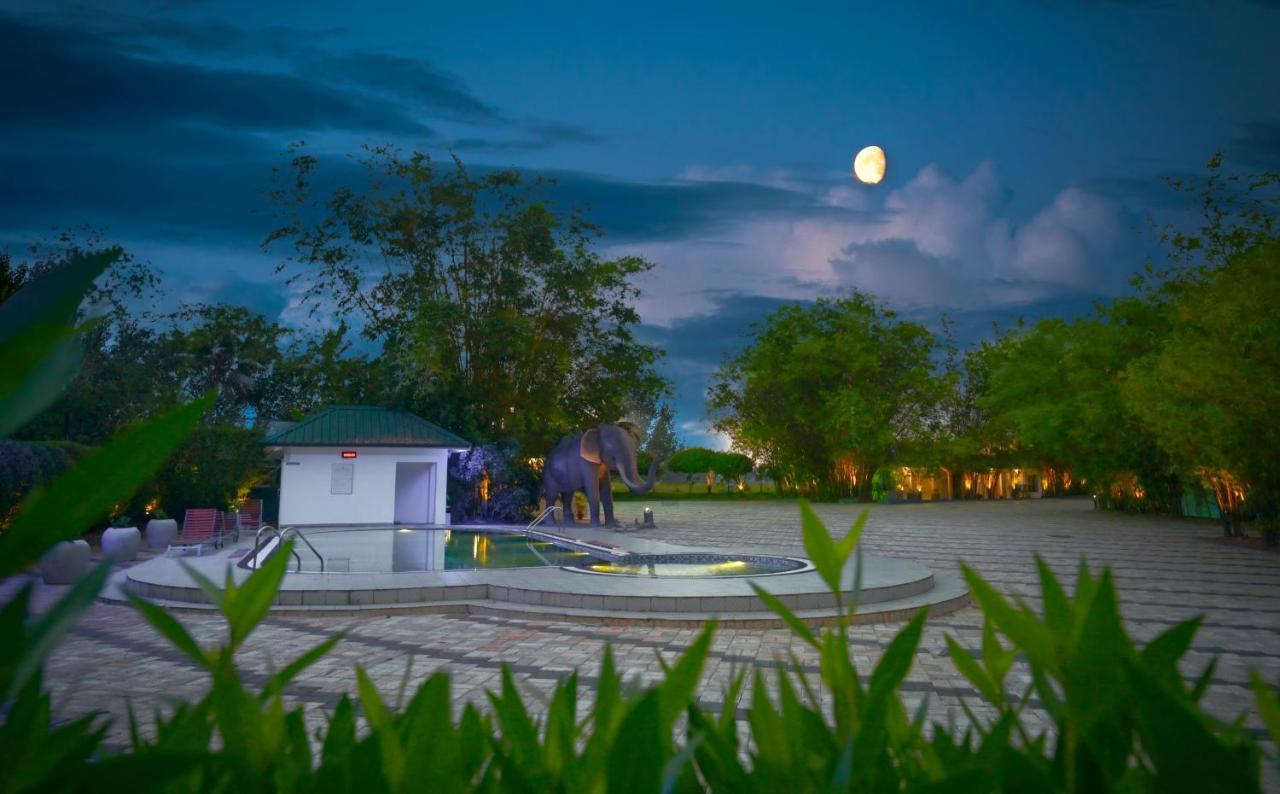 คอนทัวร์ แบ็กวอเตอร์ Hotel Ramankari ภายนอก รูปภาพ